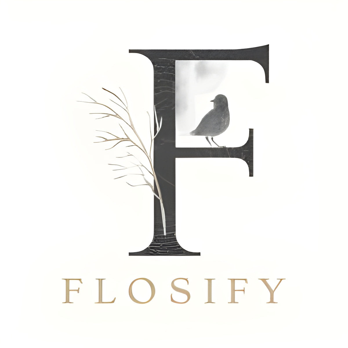 Flosify
